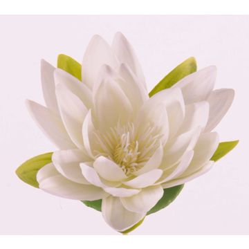 Ninfea finta SCILLA, galleggiante, crema, 4cm, Ø16cm