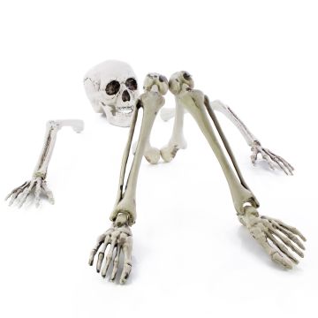 Decorazione di Halloween parti di scheletro ADALBERT con 5 picchetti, 19cm, 45cm, 66cm Decorazione di Halloween parti di scheletro ADALBERT con 5 picchetti, 19cm, 45cm, 66cm