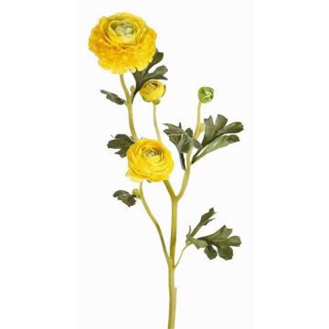 Ranuncolo finto NOEMIE, giallo, 65cm, Ø4-8cm Ranuncolo finto NOEMIE, giallo, 65cm, Ø4-8cm