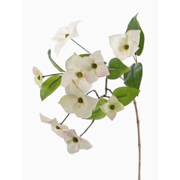 Ramo di corniolo sintetico KOHANA, con fiori, crema, 70cm Ramo di corniolo sintetico KOHANA, con fiori, crema, 70cm