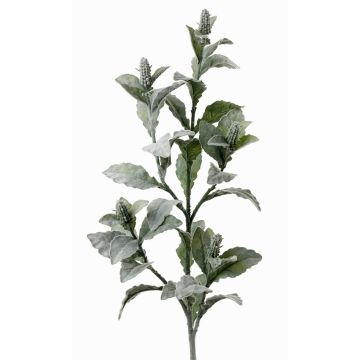Ramo di stachys finto ODIL, grigio-verde, 105cm Ramo di stachys finto ODIL, grigio-verde, 105cm