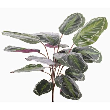 Calatea artificiale BRIHANNA su stelo, verde, 75cm Calatea artificiale BRIHANNA su stelo, verde, 75cm