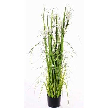 Dichromena colorata sintetica TAIGA con pannocchie, verde, 140cm