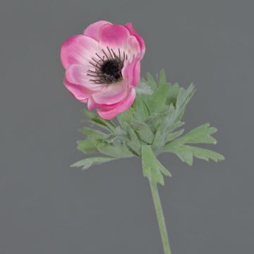 Anemone artificiale FILIZ, rosa, 30cm, Ø7cm