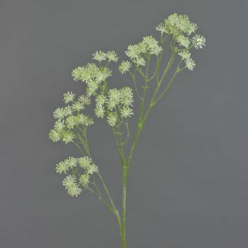 Ramo di aralia artificiale YARED, con fiori, crema, 85cm