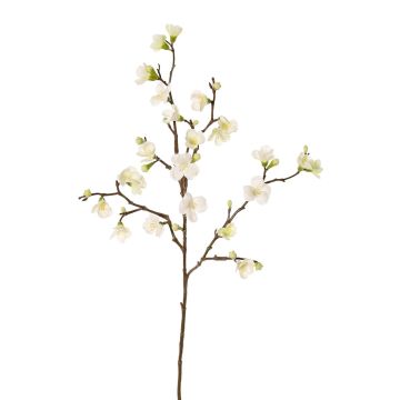 Ramo di melo sintetico SADAKA, con fiori, crema, 70cm Ramo di melo sintetico SADAKA, con fiori, crema, 70cm