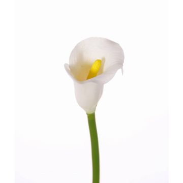 Calla artificiale CHIDORA, bianco, 55cm, 5x6cm