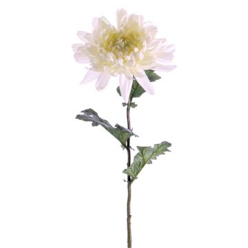 Crisantemo artificiale AMANDI, bianco, 75cm, Ø15cm Crisantemo artificiale AMANDI, bianco, 75cm, Ø15cm