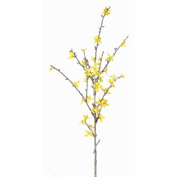 Ramo di forsizia sintetico IHRANI, con fiori, giallo, 90cm, Ø1,5-4cm Ramo di forsizia sintetico IHRANI, con fiori, giallo, 90cm, Ø1,5-4cm