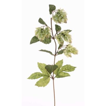 Ramo di luppolo finto AXEL, con fiori, verde chiaro, 75cm, Ø3cm Ramo di luppolo finto AXEL, con fiori, verde chiaro, 75cm, Ø3cm