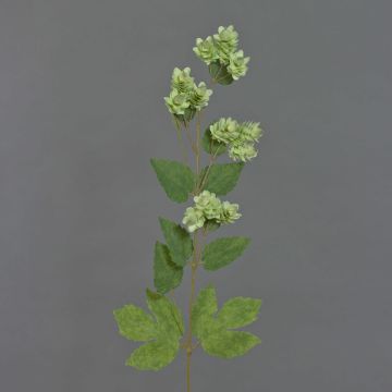 Ramo di luppolo finto AXEL, con fiori, verde, 65cm