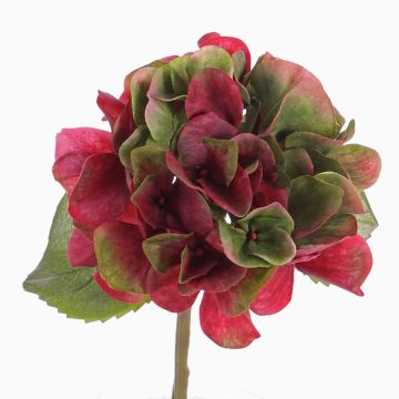 Ortensia artificiale CHIDORI, rosso-verde, 30cm, Ø13cm
