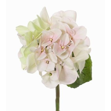 Ortensia artificiale CHIDORI, crema-rosa, 30cm, Ø13cm