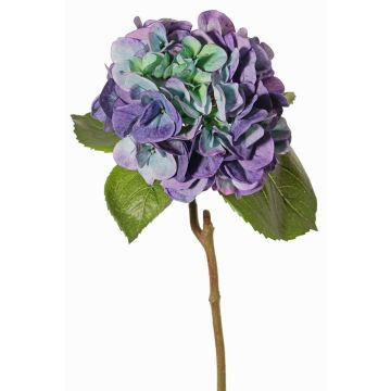 Ortensie artificiali CHIDORI, lilla-blu-verde, 60cm, Ø18cm Ortensie artificiali CHIDORI, lilla-blu-verde, 60cm, Ø18cm