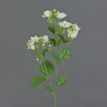 Ramo di gelsomino artificiale SINJA, bianco-verde, 60cm, Ø4cm
