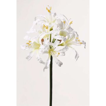 Amaryllis artificiale MONJA, bianco, 70cm, Ø12cm