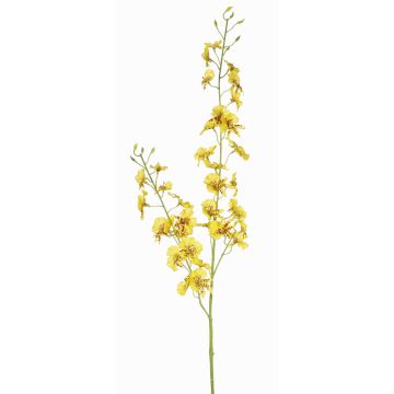 Ramo di oncidium artificiale TALIAH, giallo, 85cm, Ø3-4cm Ramo di oncidium artificiale TALIAH, giallo, 85cm, Ø3-4cm
