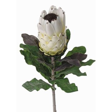 Protea finta NELLI, bianco-giallo, 75cm, Ø8cm Protea finta NELLI, bianco-giallo, 75cm, Ø8cm
