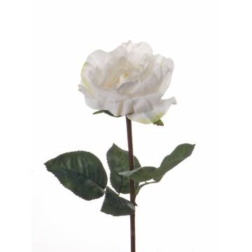 Rosa finta JESSY, crema, 35cm, Ø11cm Rosa finta JESSY, crema, 35cm, Ø11cm