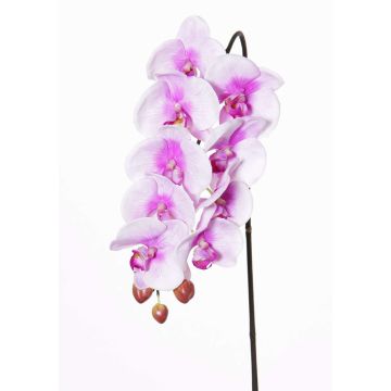 Phalaenopsis artificiale ENISA, rosa-bianco, 60cm, Ø7-8cm Phalaenopsis artificiale ENISA, rosa-bianco, 60cm, Ø7-8cm