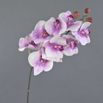 Phalaenopsis artificiale ENISA, rosa-bianco, 45cm, Ø7cm Phalaenopsis artificiale ENISA, rosa-bianco, 45cm, Ø7cm