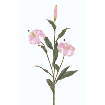Giglio tigrato artificiale DANBI, rosa chiaro, 85cm, Ø9cm Giglio tigrato artificiale DANBI, rosa chiaro, 85cm, Ø9cm