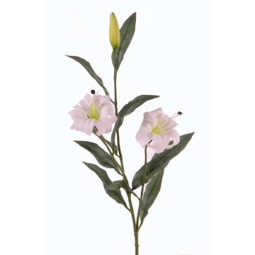 Giglio tigrato artificiale DANBI, bianco-verde, 85cm, Ø9cm Giglio tigrato artificiale DANBI, bianco-verde, 85cm, Ø9cm