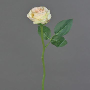 Rosa finta GABI, crema-rosa, 25cm, Ø5cm