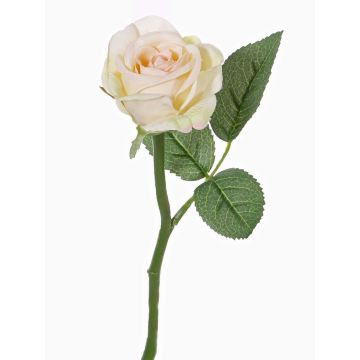 Rosa finta GABI, crema-rosa, 30cm, Ø6cm