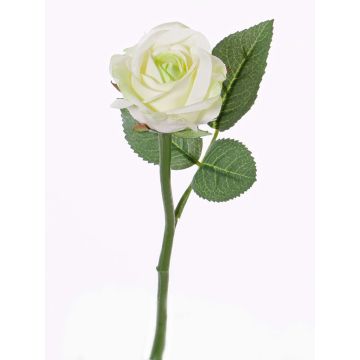 Rosa finta GABI, crema-verde, 30cm, Ø6cm