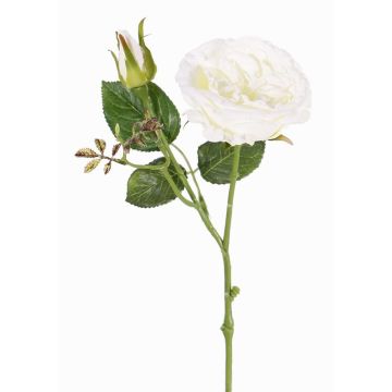 Rosa artificiale JUDY, crema, 40cm, Ø9cm Rosa artificiale JUDY, crema, 40cm, Ø9cm