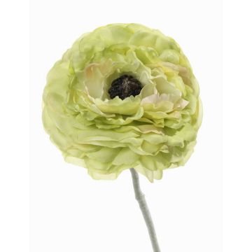 Ranuncolo finto ALIMA, verde, 35cm, Ø8cm Ranuncolo finto ALIMA, verde, 35cm, Ø8cm