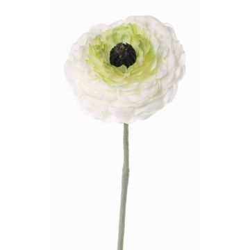 Ranuncolo finto ALIMA, crema-verde, 35cm, Ø8cm Ranuncolo finto ALIMA, crema-verde, 35cm, Ø8cm