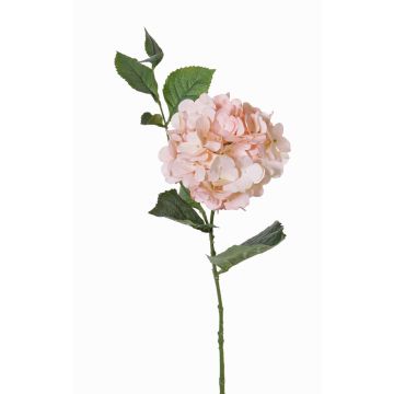 Ortensia artificiale ASUKA, rosa, 80cm, Ø15cm Ortensia artificiale ASUKA, rosa, 80cm, Ø15cm