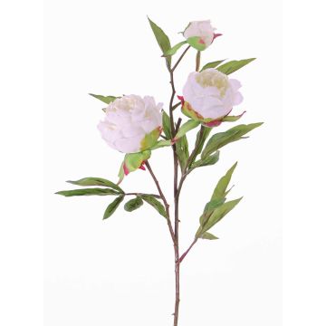 Peonia finta MANJA, bianco, 70cm, Ø8-10cm Peonia finta MANJA, bianco, 70cm, Ø8-10cm