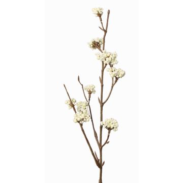 Callicarpa bodinieri finta LARINA, con bacche, crema, 50cm Callicarpa bodinieri finta LARINA, con bacche, crema, 50cm
