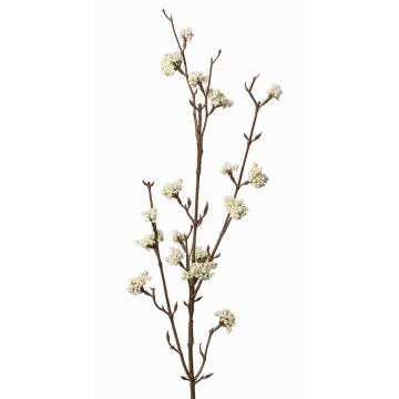 Callicarpa bodinieri finta LARINA, con bacche, crema, 70cm Callicarpa bodinieri finta LARINA, con bacche, crema, 70cm