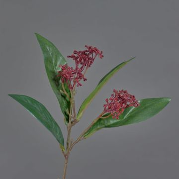 Ramo di skimmia finto EBONY, con fiori, rosso, 35cm