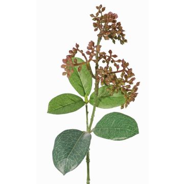 Ramo di viburnum artificiale LAZAROS, lilla-verde, 35cm, Ø5cm Ramo di viburnum artificiale LAZAROS, lilla-verde, 35cm, Ø5cm