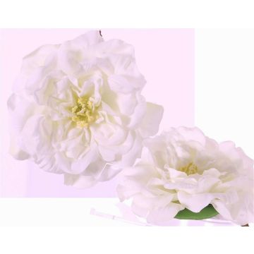 Fiore di rosa finta SASKIA, galleggiante, crema, 5cm, Ø15cm Fiore di rosa finta SASKIA, galleggiante, crema, 5cm, Ø15cm