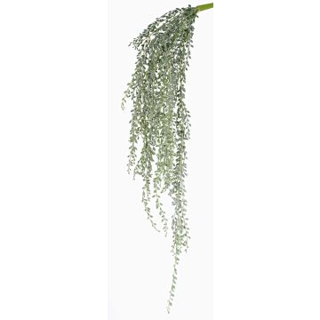 Senecio pensile artificiale KANELO, su gambo, verde-grigio, 80cm