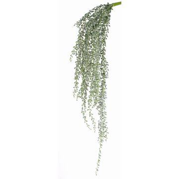 Senecio pensile artificiale KANELO, su gambo, verde-grigio, 80cm