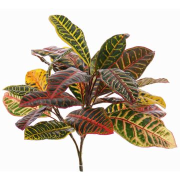 Pianta croton sintetica JOMI, su gambo, colorato, 50cm
