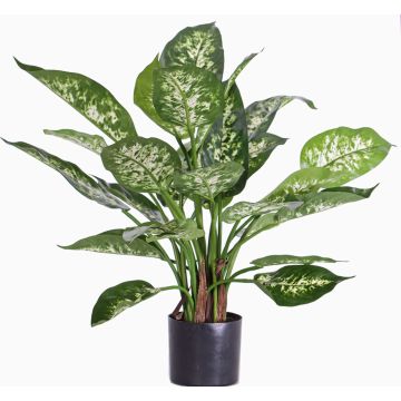 Dieffenbachia artificiale DILLA, verde-bianco, 50cm Dieffenbachia artificiale DILLA, verde-bianco, 50cm