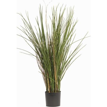 Canna palude finta DELSIN zona trasversale verde-marrone 80cm