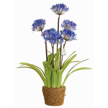 Agapanto finto INJALA con terriccio, blu-lilla, 80cm, Ø11cm Agapanto finto INJALA con terriccio, blu-lilla, 80cm, Ø11cm