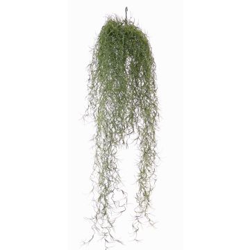 Tillandsia pensile finta LITA, gambo zona trasversale, verde, 75cm Tillandsia pensile finta LITA, gambo zona trasversale, verde, 75cm