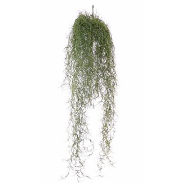 Tillandsia pensile finta LITA, gambo zona trasversale, verde 75cm