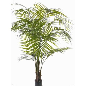 Palma areca finta MELMAN resistente alle intemperie, 175cm Palma areca finta MELMAN resistente alle intemperie, 175cm