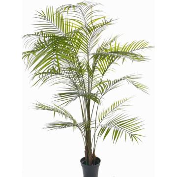Palma areca finta MELMAN resistente alle intemperie, 190cm Palma areca finta MELMAN resistente alle intemperie, 190cm